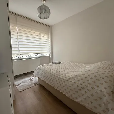Ac Realestate